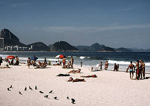 LEICA M6, SUMMICRON 2/50